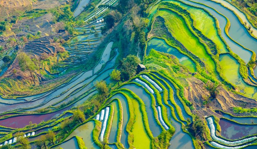 走进莱山区TVC拍摄：解锁本地化场景与创意镜头的完美融合